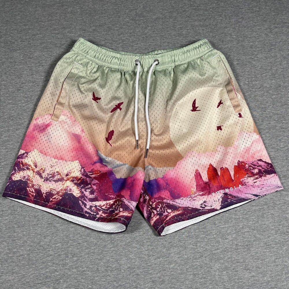 YoungLA Shorts Mens S Multicolor Mesh Lined Drawstring Pockets Athletic